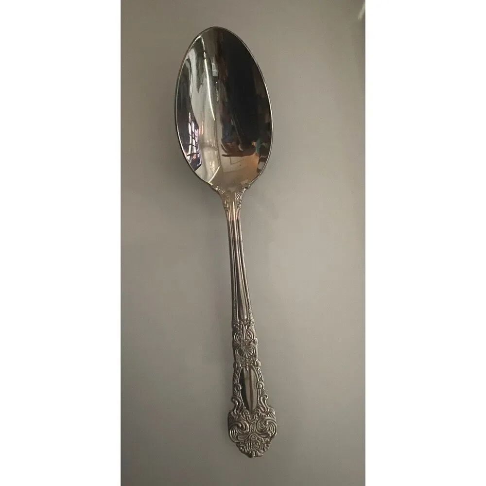 Reed & Barton RENAISSANCE Stainless Flatware 18/10 Silverware SERVING SPOON